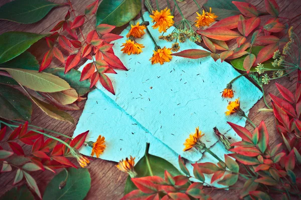 Feuilles, fleurs et papiers — Photo