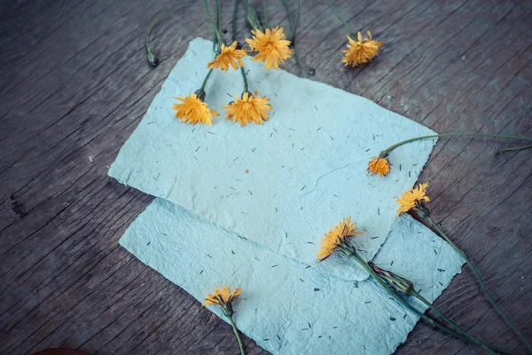 Sfondo con fiori e carte bianche — Foto Stock