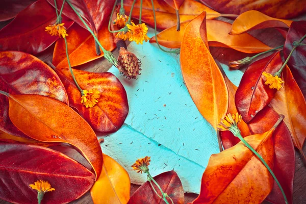 Листья, цветы и бумаги — стоковое фото