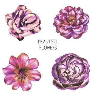 Güzel Mor Çiçekler