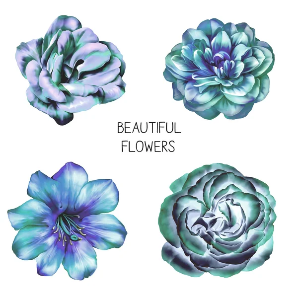 4 아름 다운 꽃 — 스톡 사진