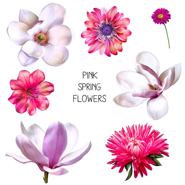 Fleurs printanières roses — Photo
