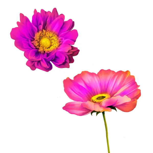 Illustration of bright flowers — Stock Photo, Image