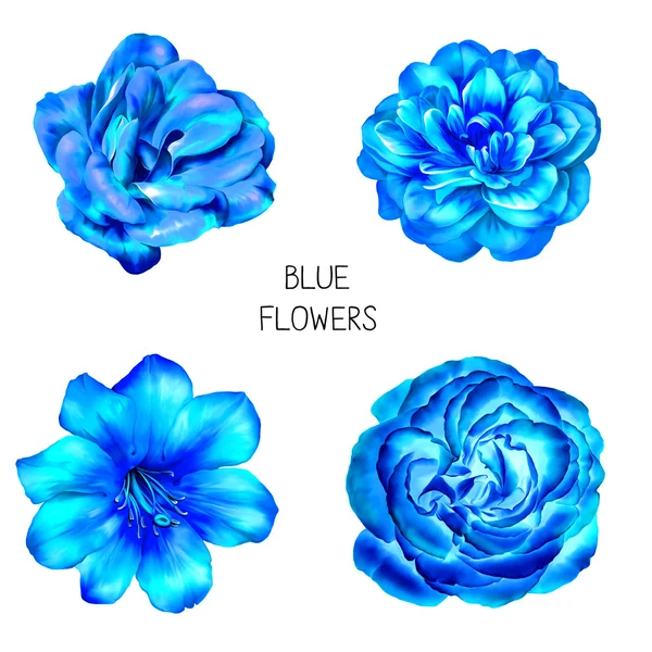 Flores azules aisladas sobre fondo blanco — Foto de Stock