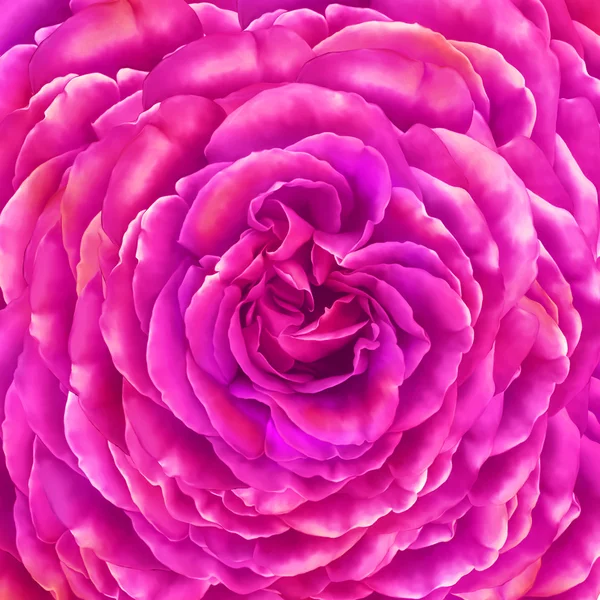 Rosa flor de Camelia — Foto de Stock