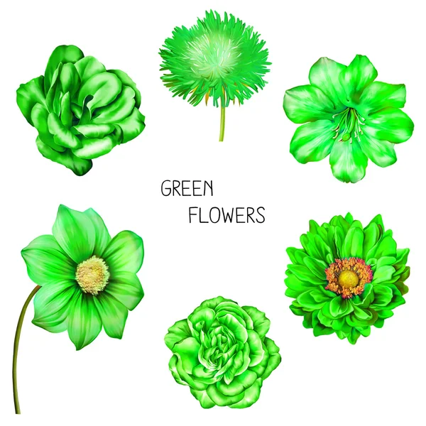 Set of green flowers — Stock Photo, Image