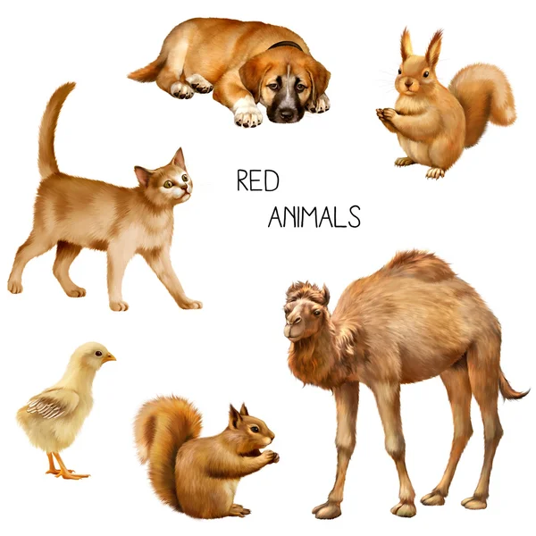 Набор красных животных — стоковое фото