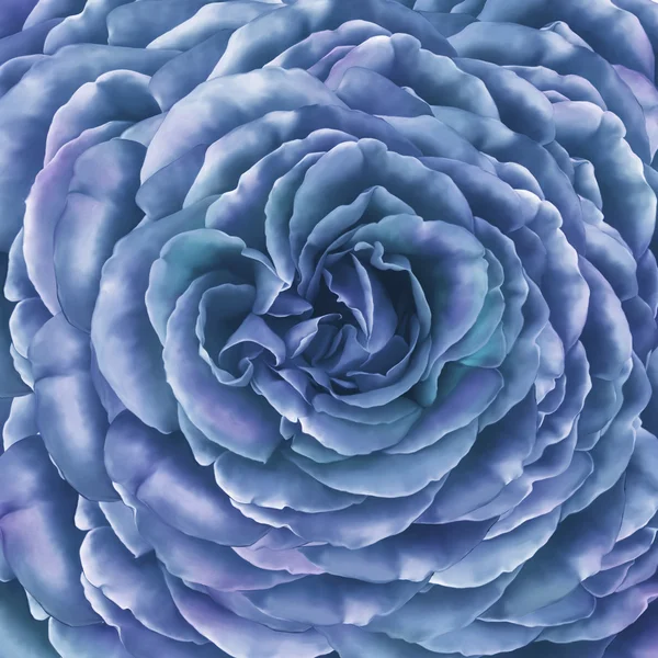 Rose fleur de camélia — Photo