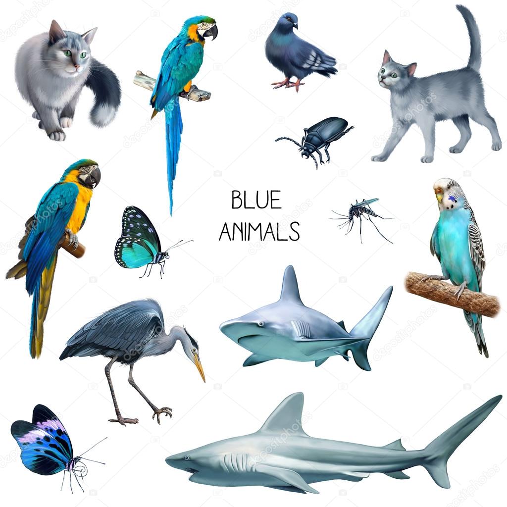 Illustration Of Blue Animals Stock Photo By C Artnature