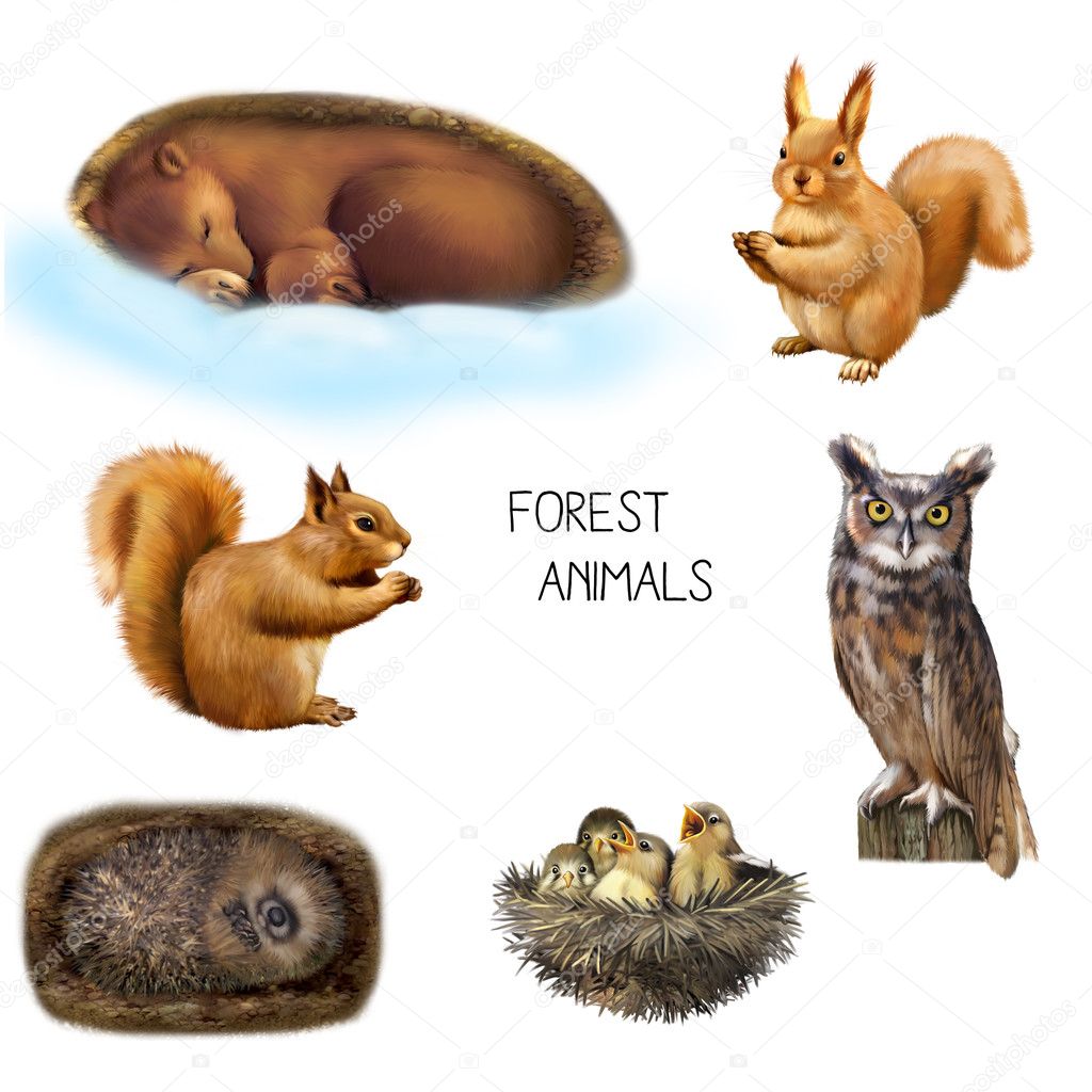 Illustration of forest animals — Stock Photo © artnature 91751850