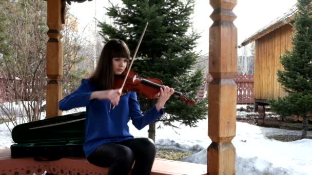 Belle fille jouer du violon — Video