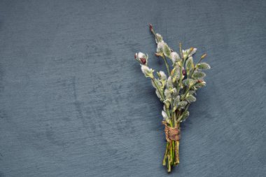 Grafit arka plan üzerinde çiçekler