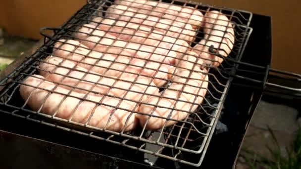 Barbacoa de embutidos de carne — Vídeo de stock