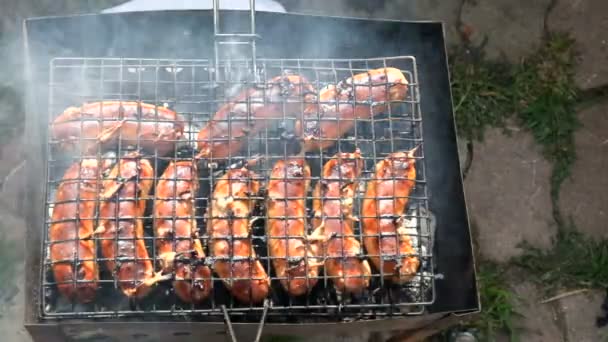 Meat sausage barbecue – stockvideo
