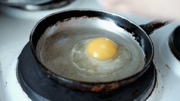 Fried eggs in a frying pan — Stock Video