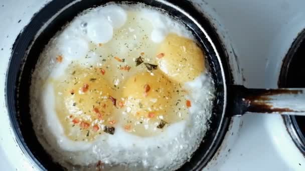 Жареные яйца в сковороде — стоковое видео