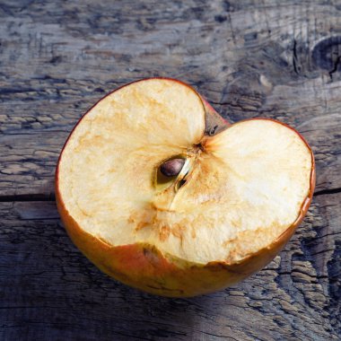 yaşlı elma ağacı