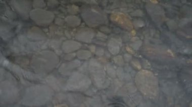Uçuş Nehri