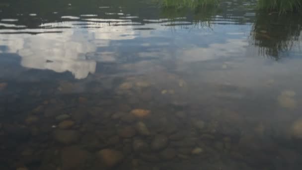 川の上のフライト — ストック動画