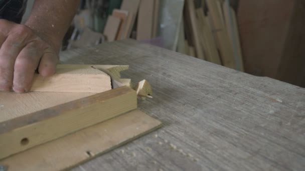 Ο γέροντας αρσενικό ξυλουργός — Αρχείο Βίντεο