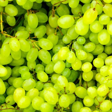 Yeşil Üzümler