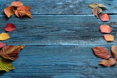 yaprakları ile arka plan