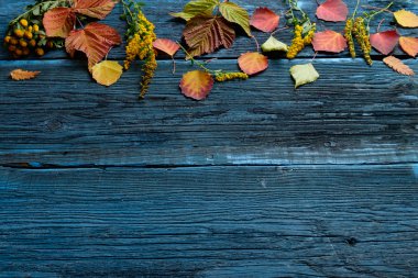 yaprakları ile arka plan