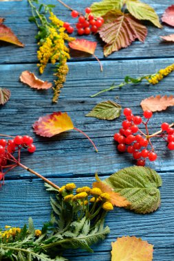 yaprakları ile arka plan