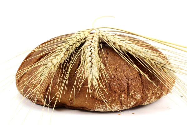 ライ麦の乾燥耳 — ストック写真