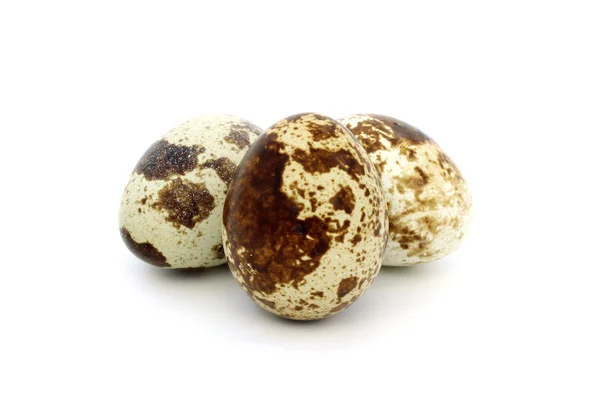 Three brown quail eggs — Stockfoto