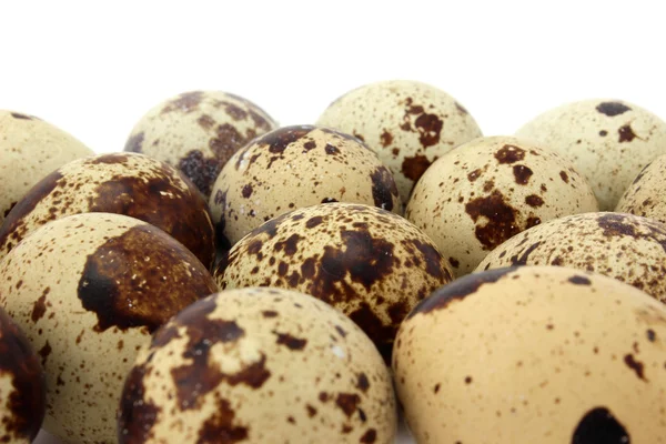 Huevos de codorniz manchados marrón — Foto de Stock