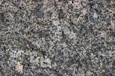 Eski bir kaya yüzeyi