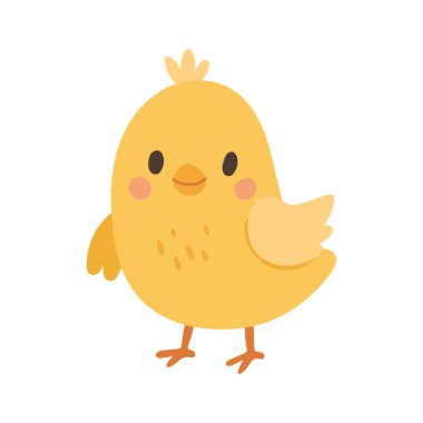 Sevimli sarı piliç çizgi film karakteri, çiftlik temalı çocuk resimleri, Paskalya pazarlama görselleri, çocuk posterleri ve şirin çıkartmalar için mükemmel..