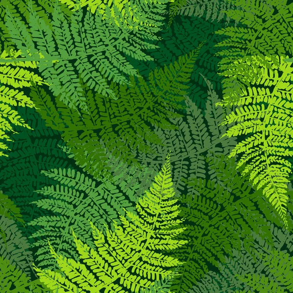 蕨类植物无缝模式 — 图库矢量图片