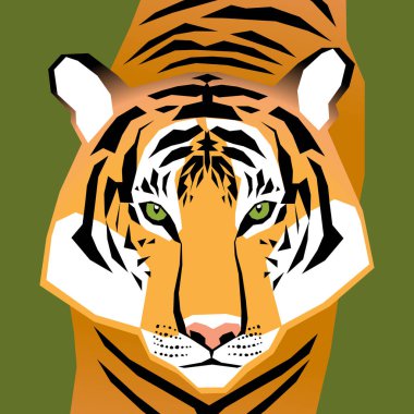 Kaplan Vektörü Geometrik Kart Tasarımı