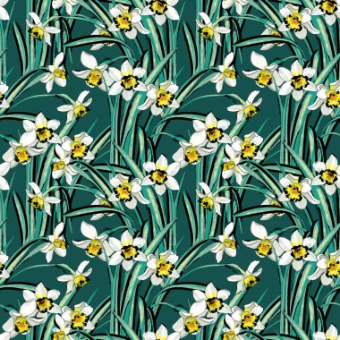 İlkbaharda çiçek açan narsist çiçeklerle kusursuz çizimler.