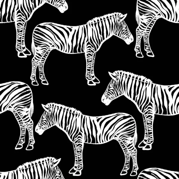 非洲斑马的无缝隙黑白图案 — 图库照片