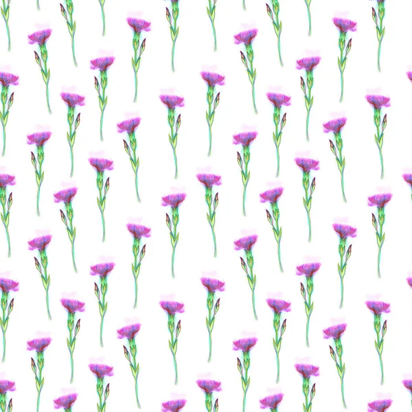 Seamless pattern with tender purple flowers on a white background — Stock Photo, Image