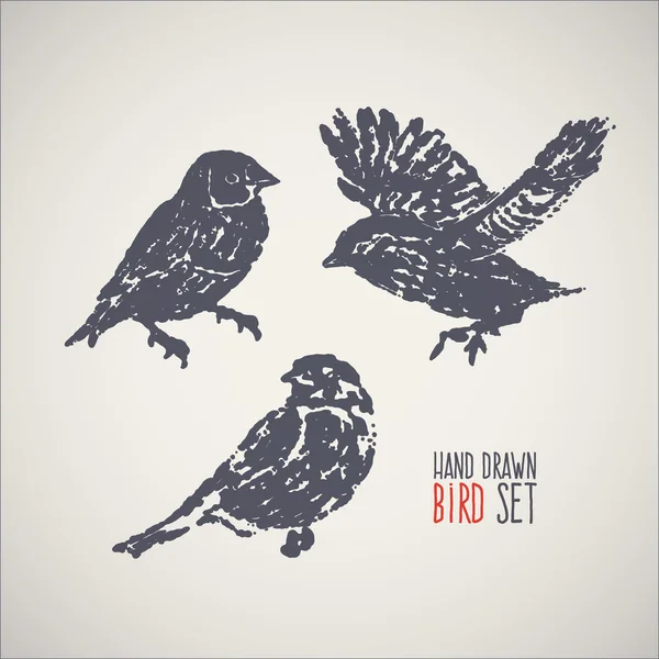Set de aves dibujadas a mano de tinta — Archivo Imágenes Vectoriales