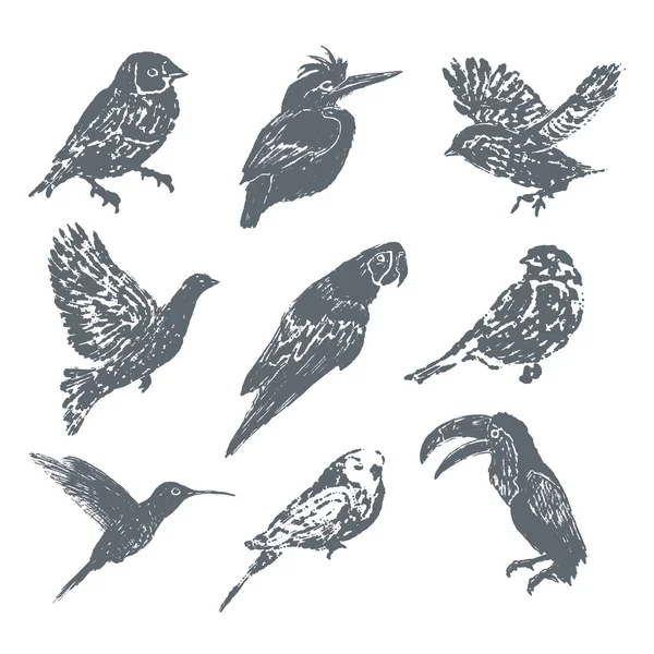 Mürekkep elle çizilmiş kuş kümesi