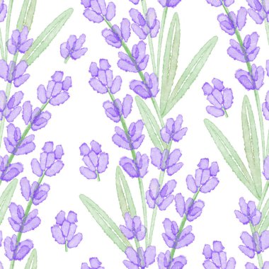 Beyaz arkaplanda lavanta çiçekleri olan kusursuz suluboya deseni