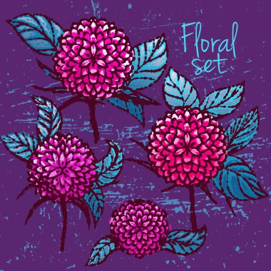 Renkli mürekkep krizantem koleksiyonu