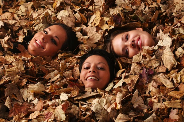 Nice girls cover in autumn leaves — Stock Photo, Image