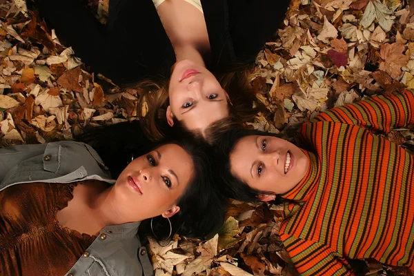 Nice girls cover in autumn leaves — Stock Photo, Image