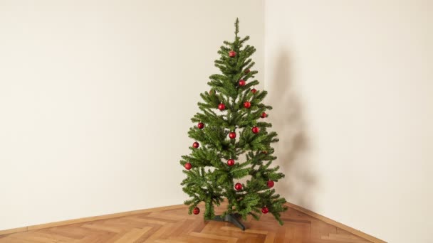 Timelapse di decorazione di un albero di Natale — Video Stock