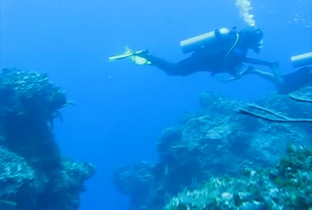 Divers in the Caribbean sea — Stock Video