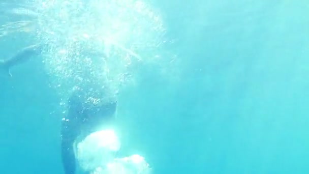 Nadando en el mar — Vídeos de Stock