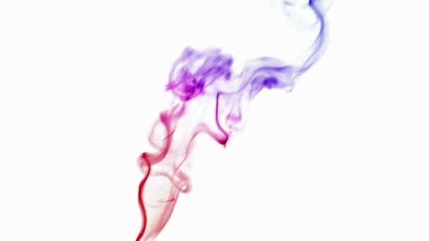 Fumaça colorida no fundo branco — Vídeo de Stock