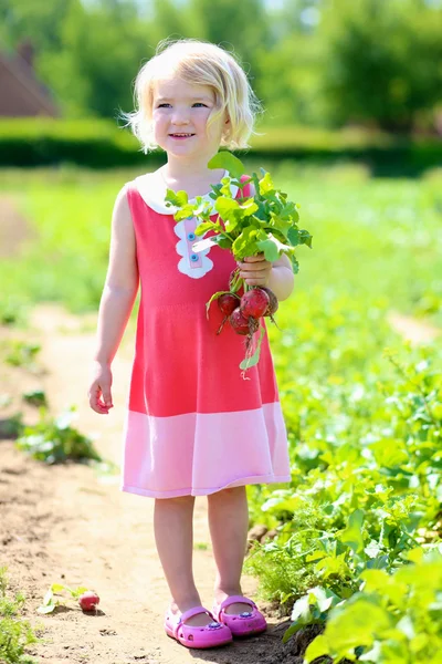Litet barn plockning rädisor i gården — Stockfoto