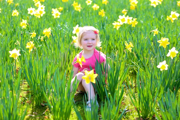 Маленькая девочка в поле нарциссов — стоковое фото
